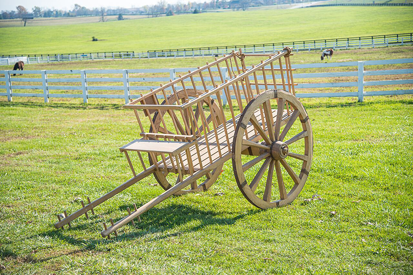 Photo of the medieval cart replica